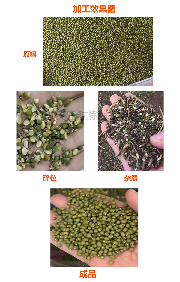1590024554134887.jpg 綠豆風(fēng)篩清選效果圖600.jpg