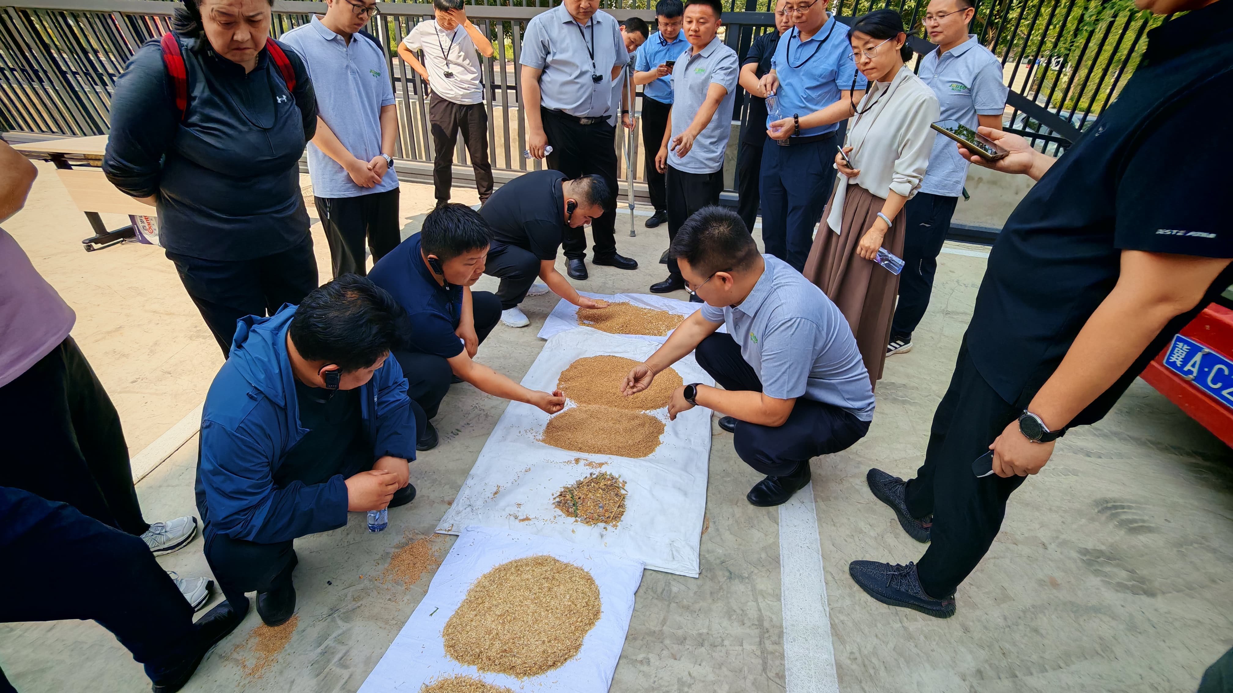 1749781211931804.jpg 1749781211931804.jpg