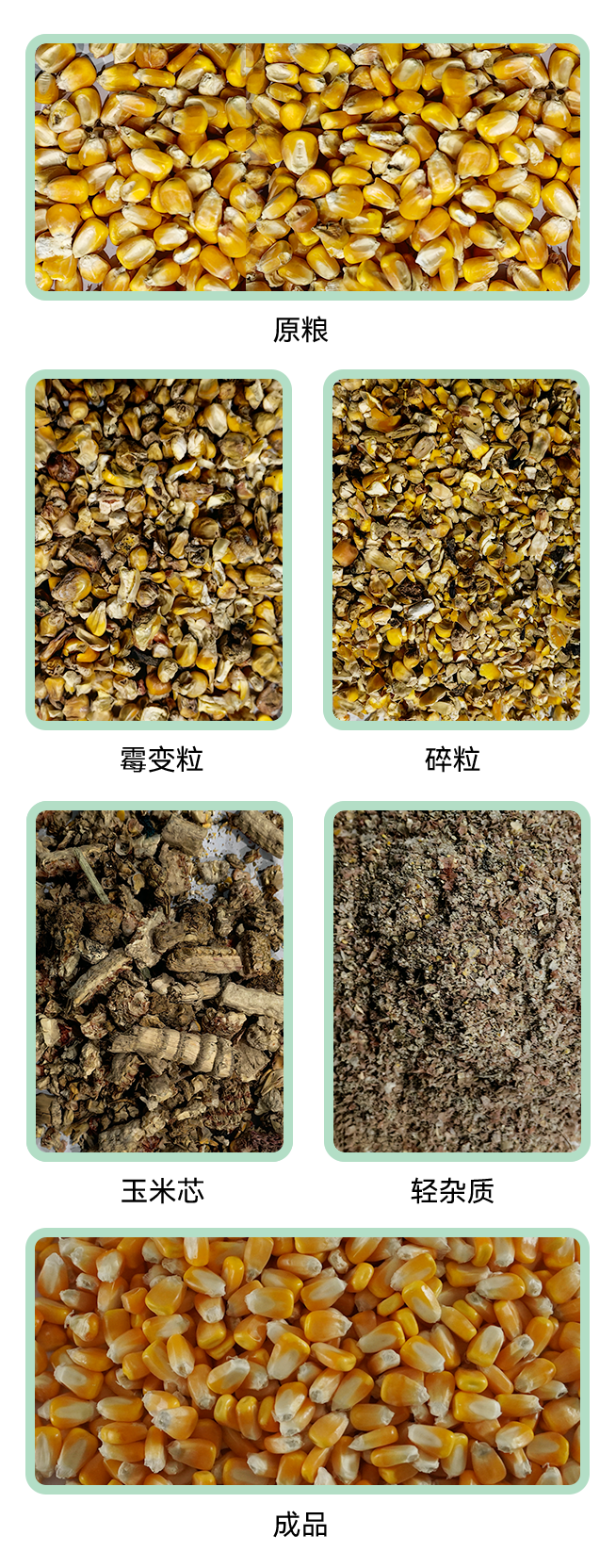 1769417924383040.jpg 5XFZ-40ZA小程序.jpg